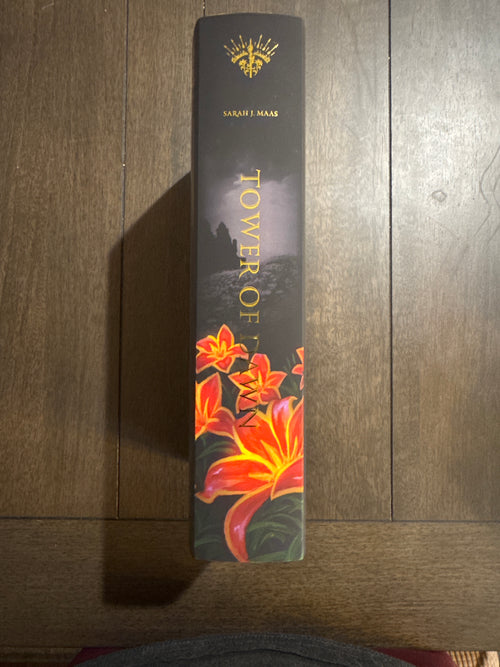 Special Edition Tower of Dawn Acrylipics